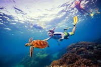 The Great Barrier Reef is just off the coast of Cairns.