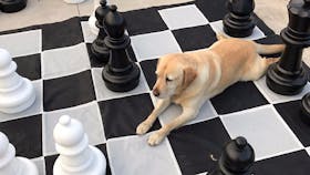 Games