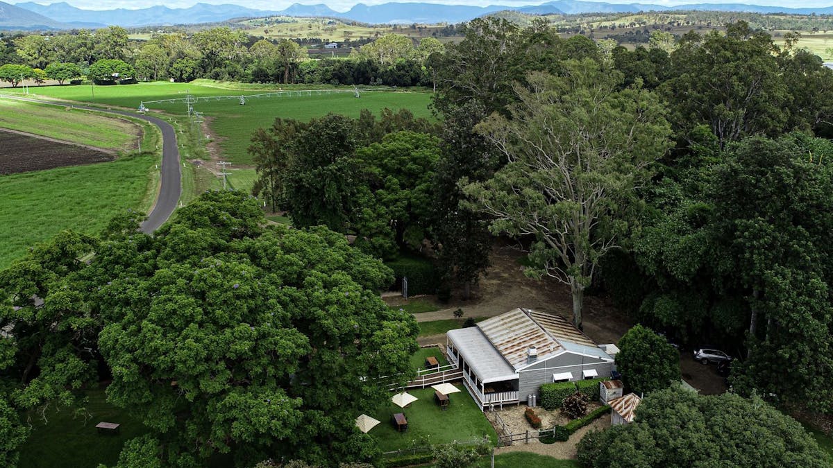 An aerial view of the cottage-style-cafe amongst large trees looking across farms to the mountains.
