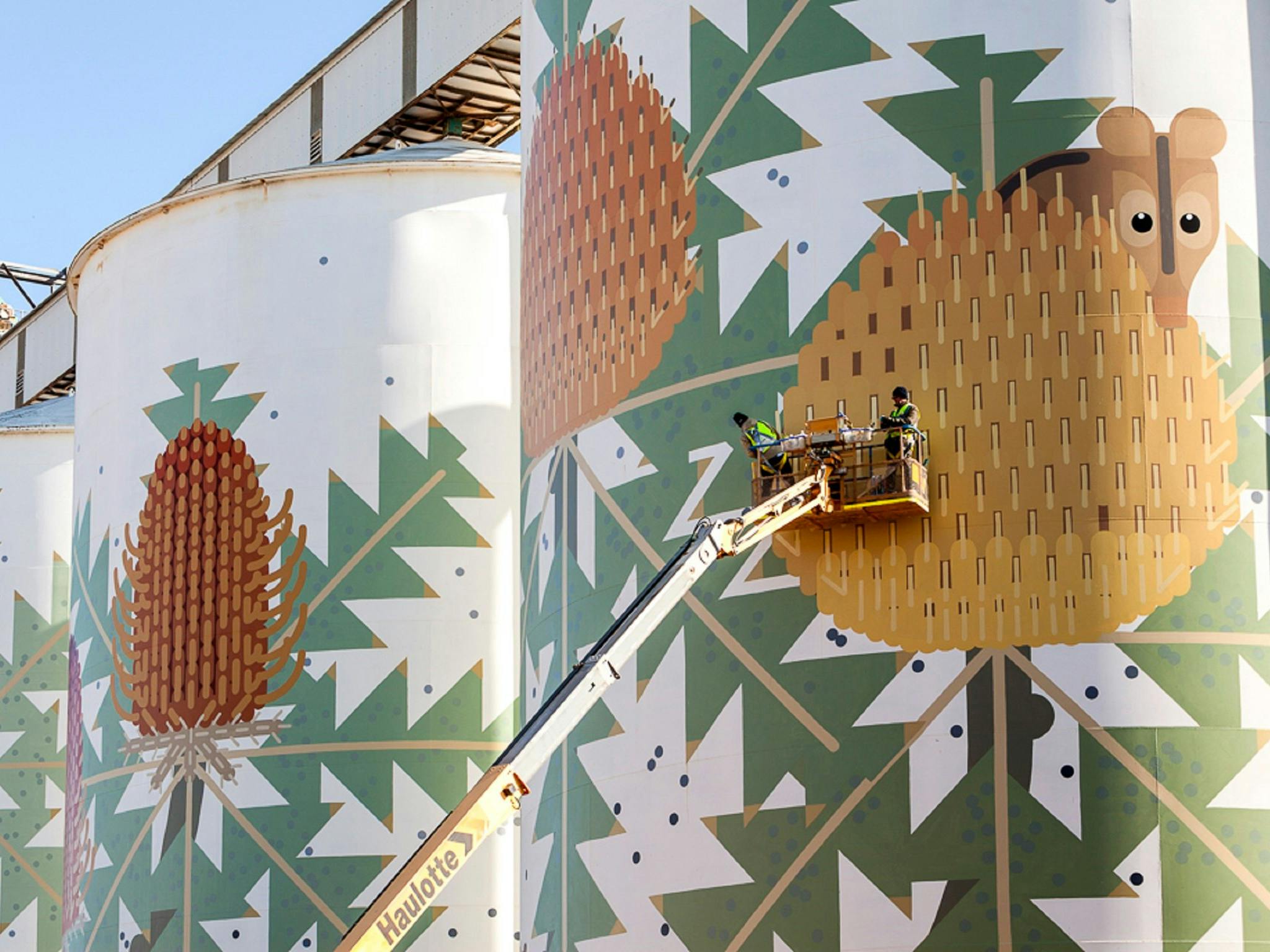 Ravensthorpe's Painted Grain Silos, Western Australia