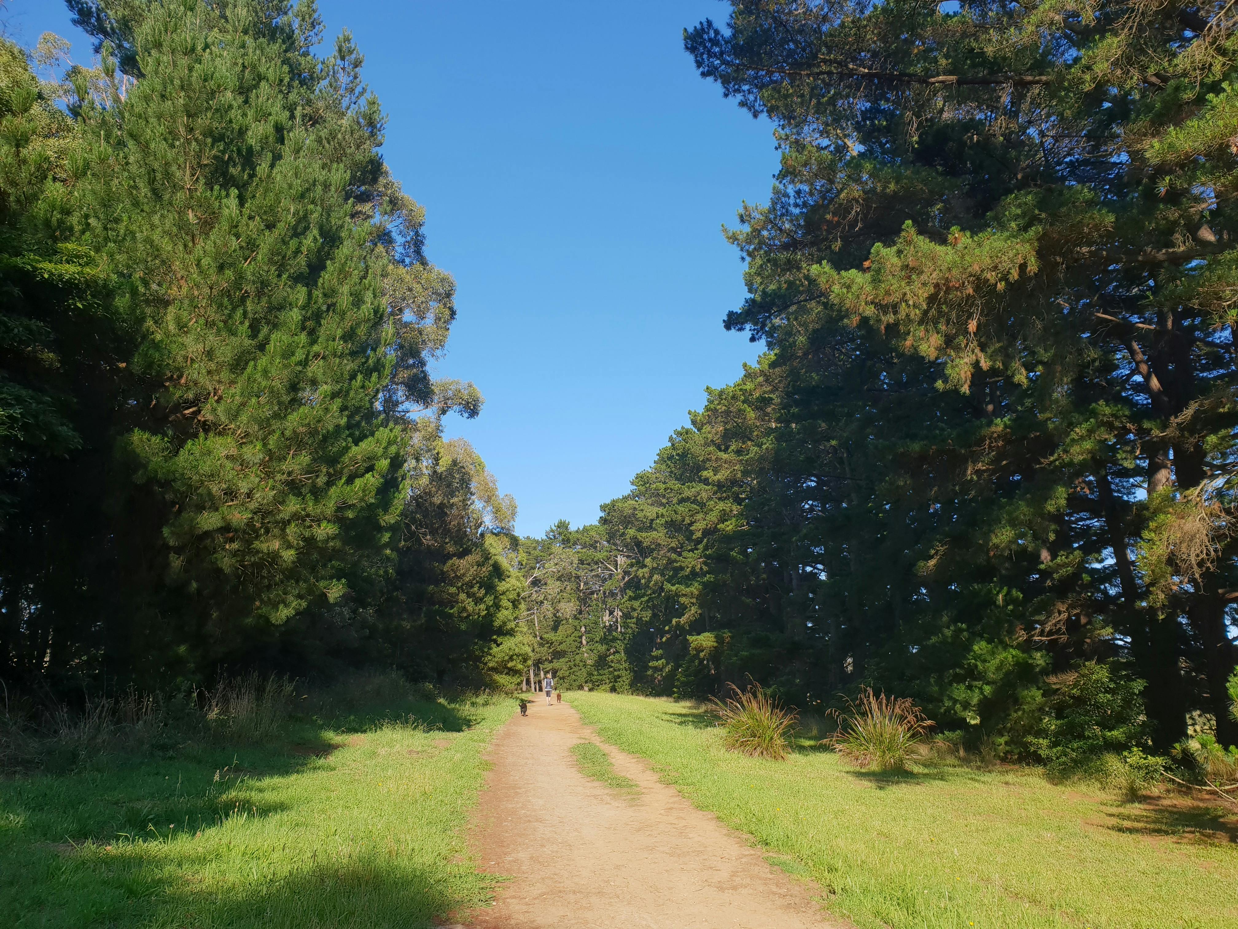 Red Hill Rail Trail