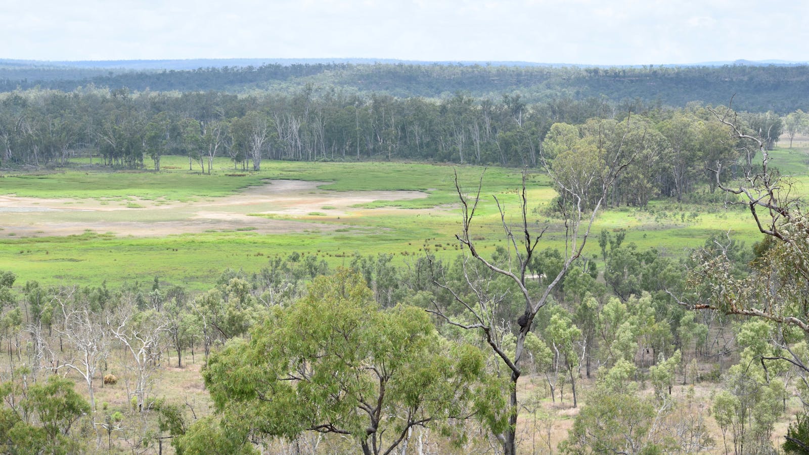 Princess Hills, Girringun National Park