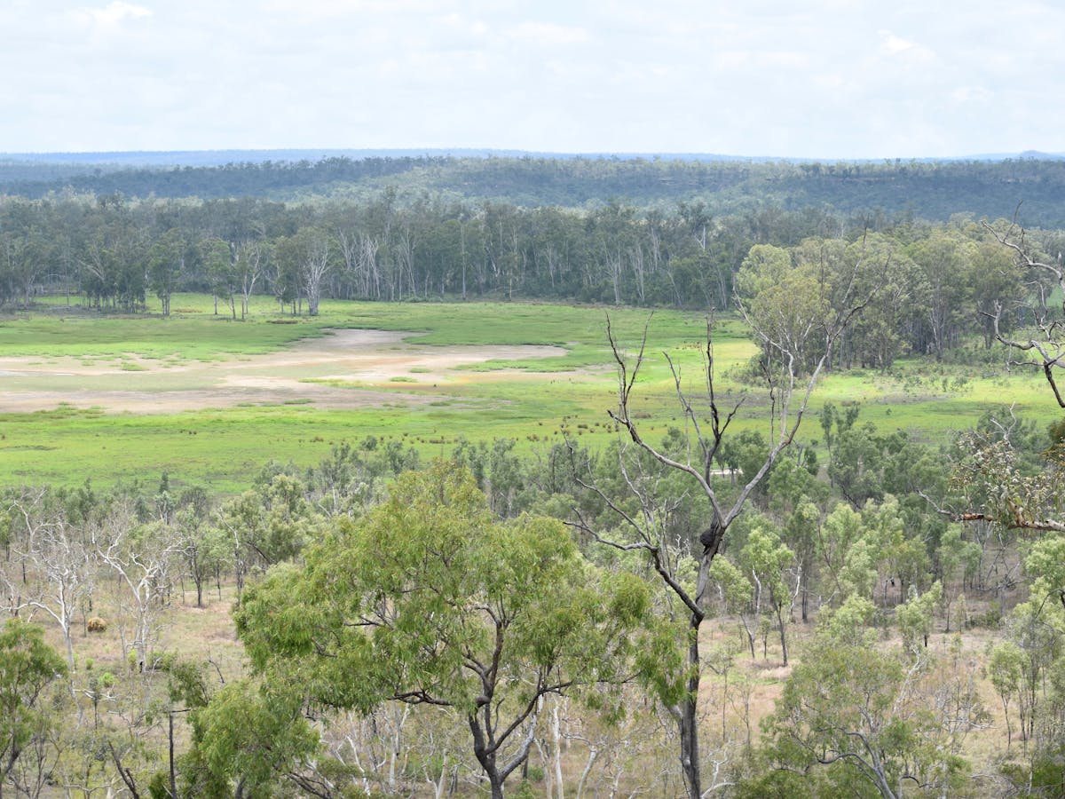 Open woodland of Princess Hills, Girringun National Park