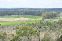 Open woodland of Princess Hills, Girringun National Park