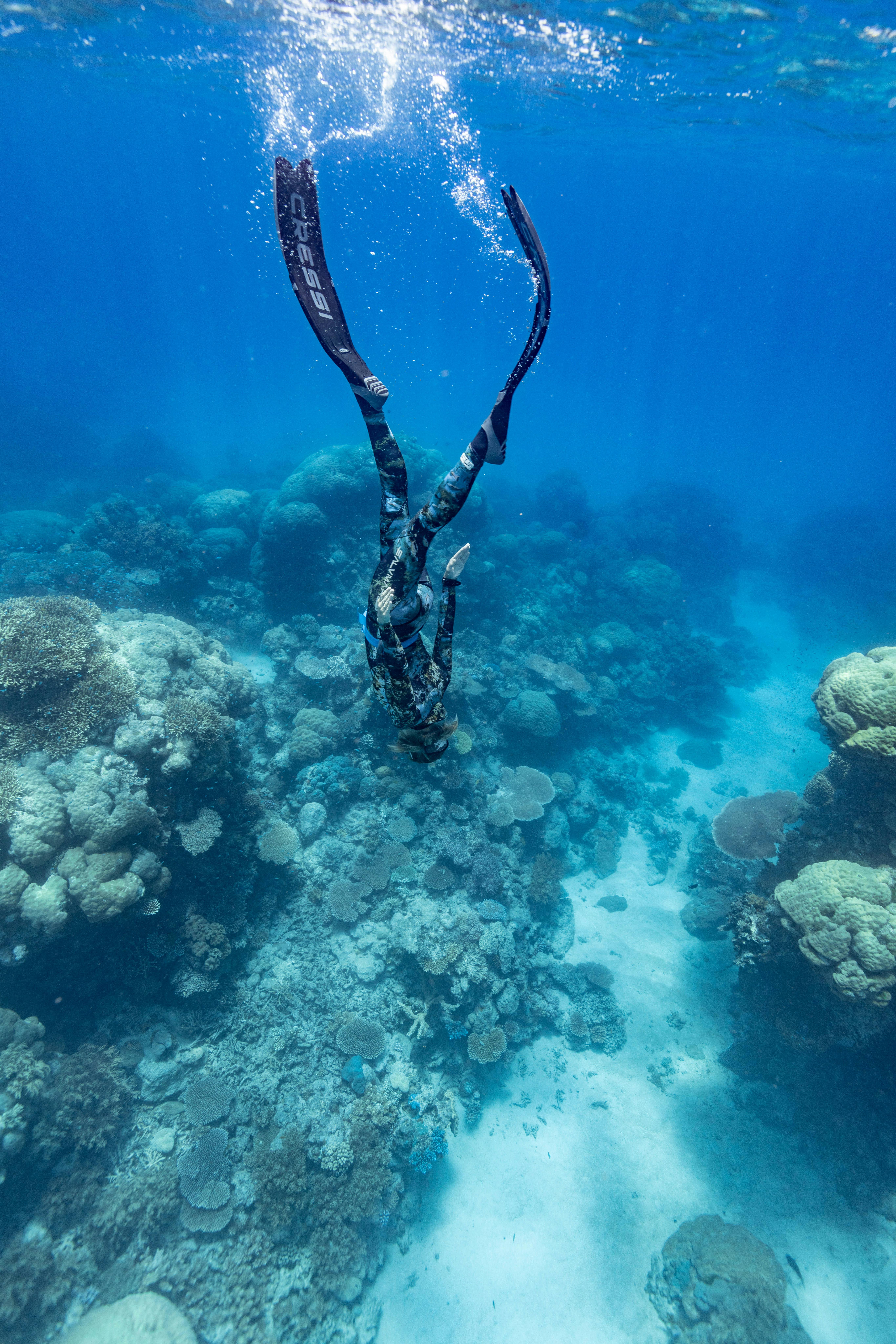 Freediver diving down into the ocean surrounded by corals on the Great Barrier Reef