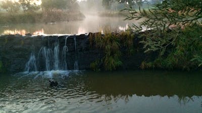 Early morning at Kiamma Creek