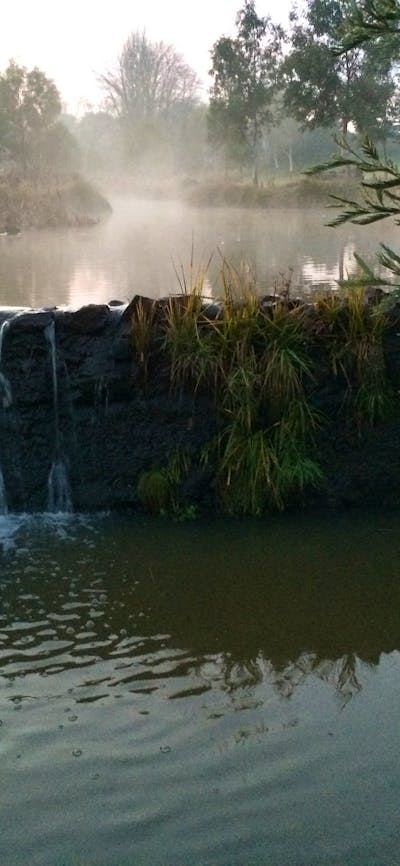Early morning at Kiamma Creek