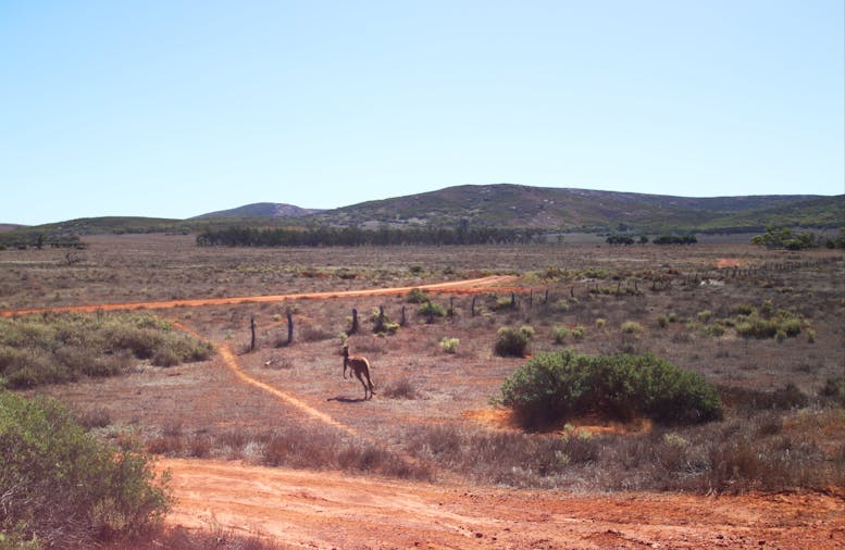 Gawler Ranges National Park
