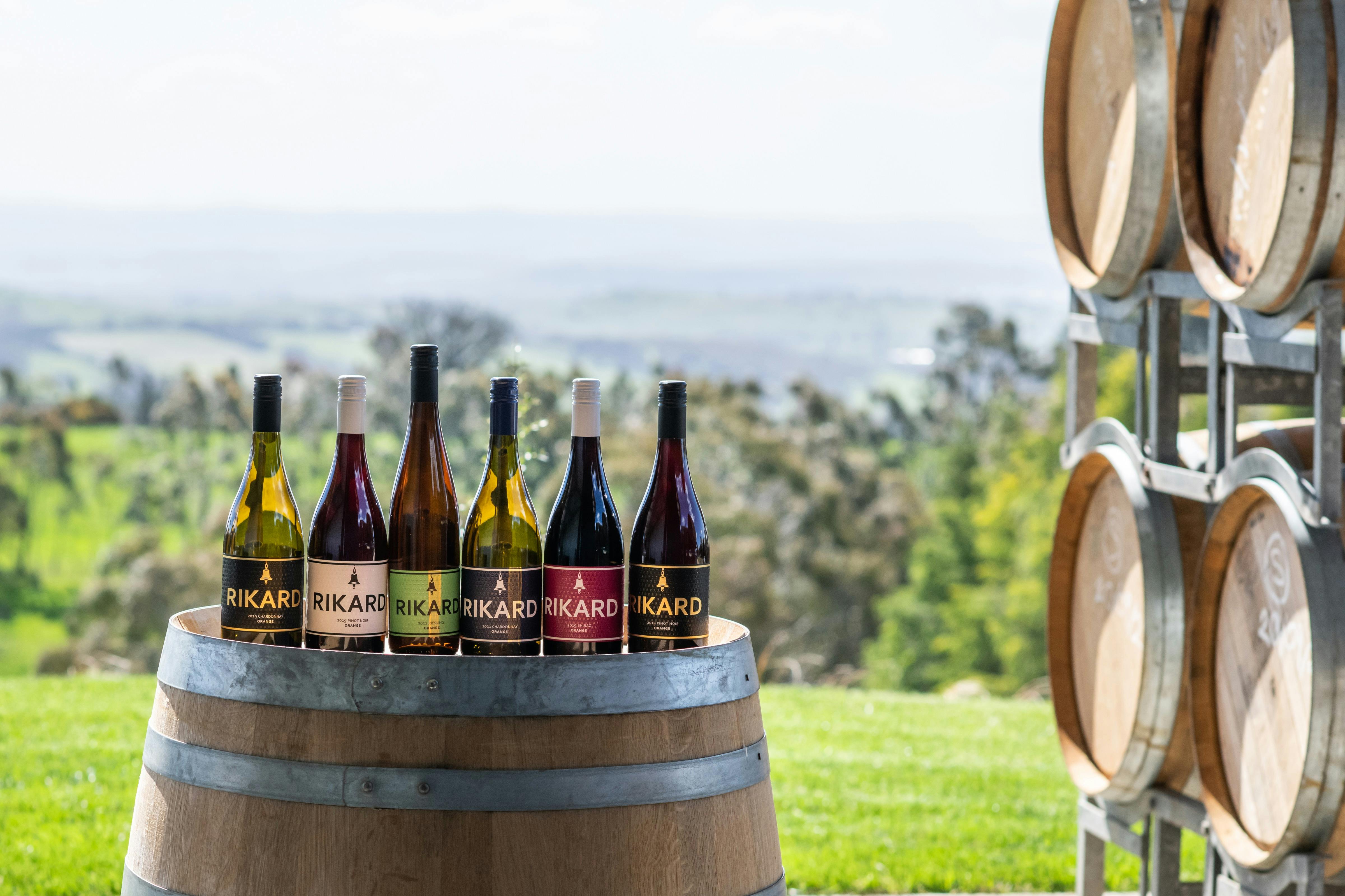 Rikard Wine bottles on display