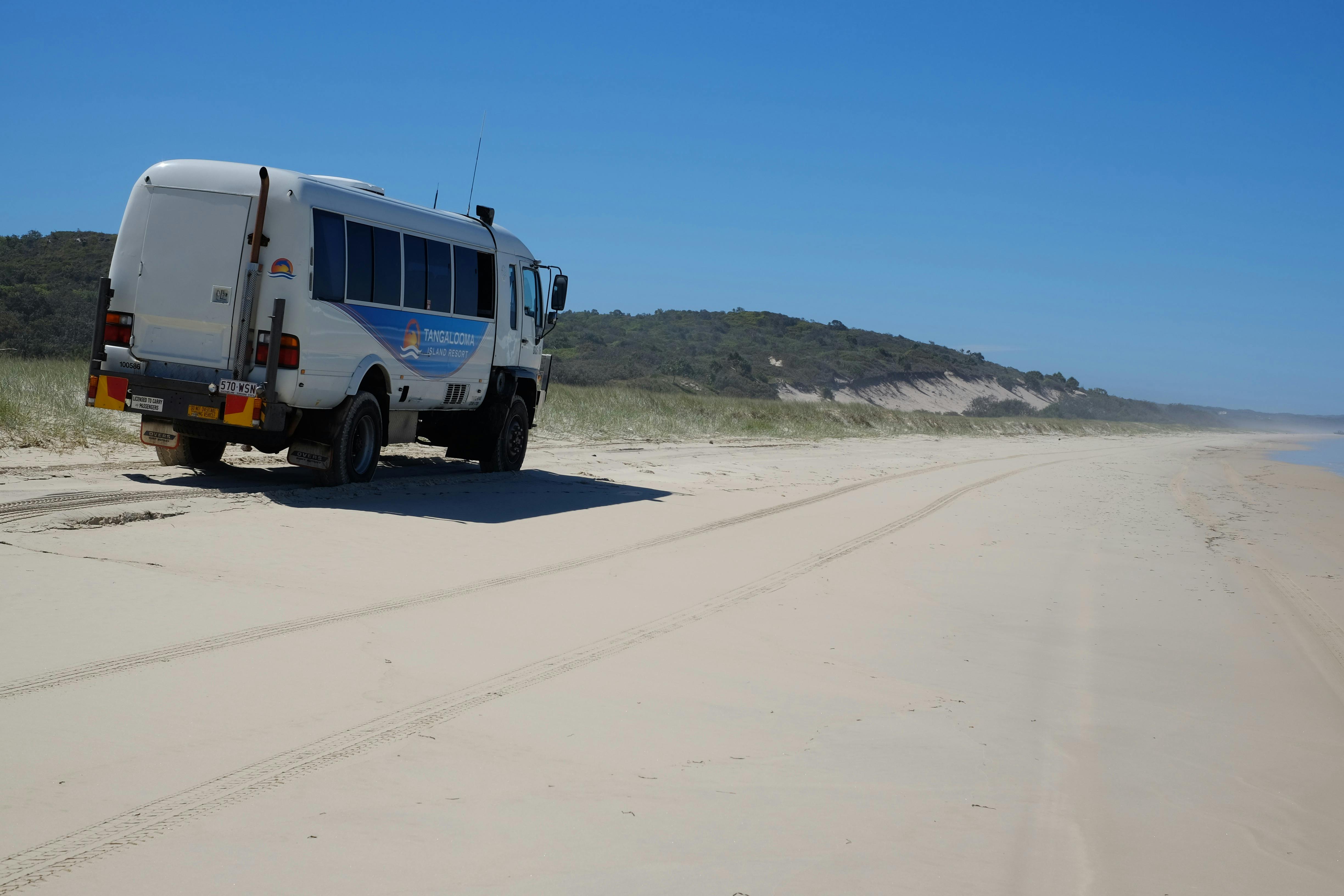 Tangalooma Southern Safari Tour