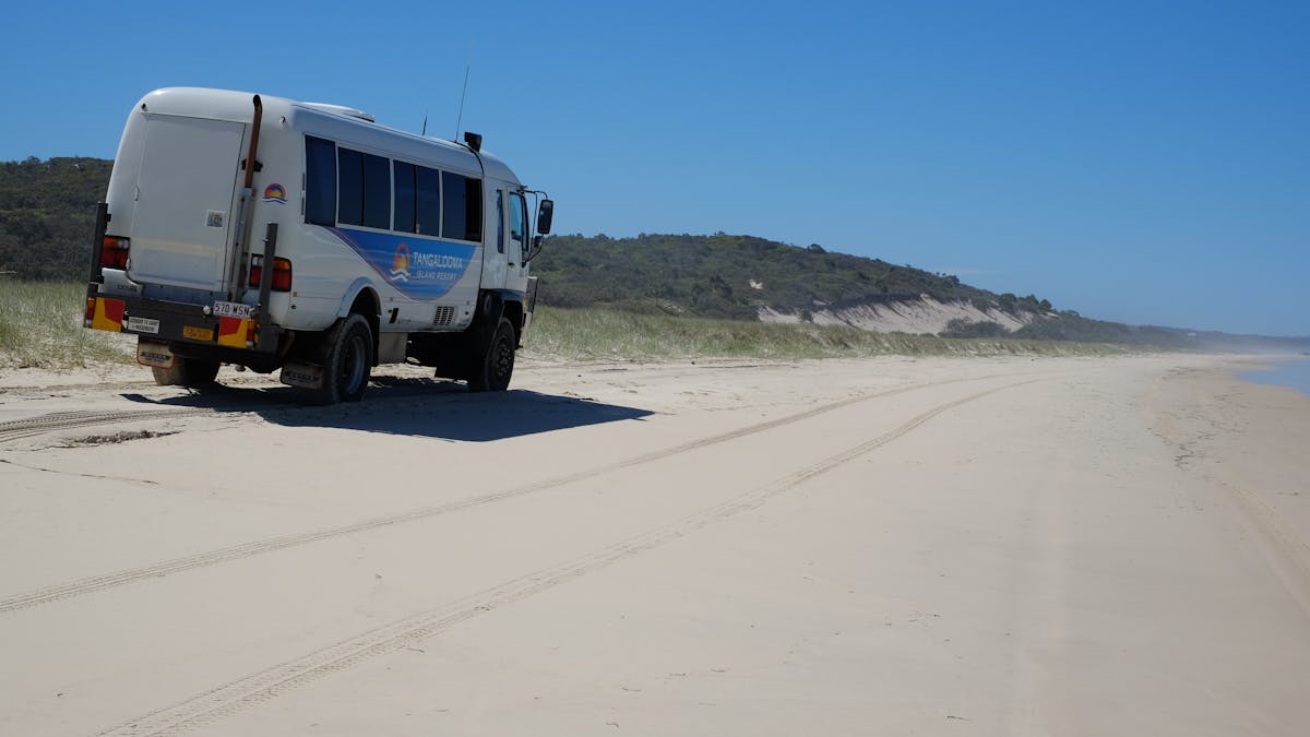 Tangalooma Southern Safari Tour