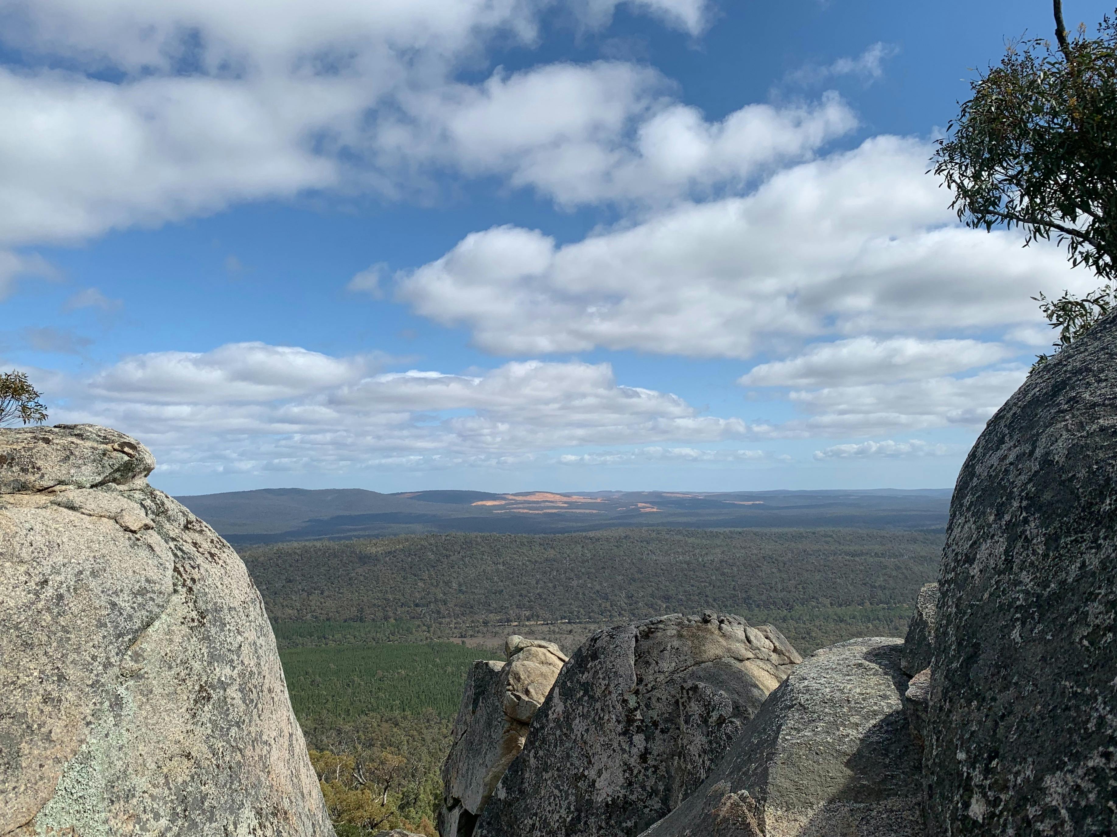 Mt Cooke Hiking Experience