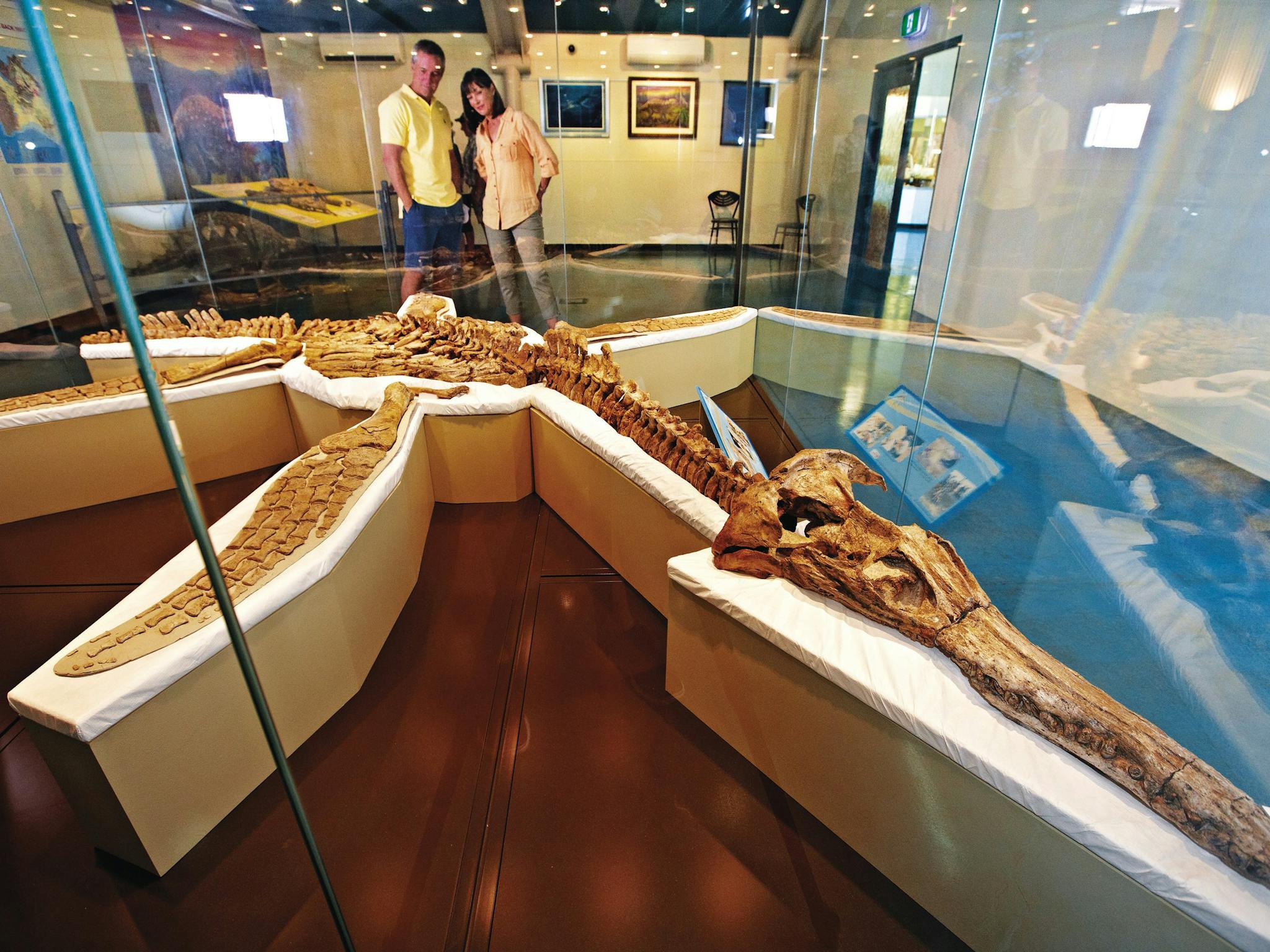 Admiring the pliosaur at the Kronosaurus Korner Admiring the pliosaur at the Kronosaurus Korner
