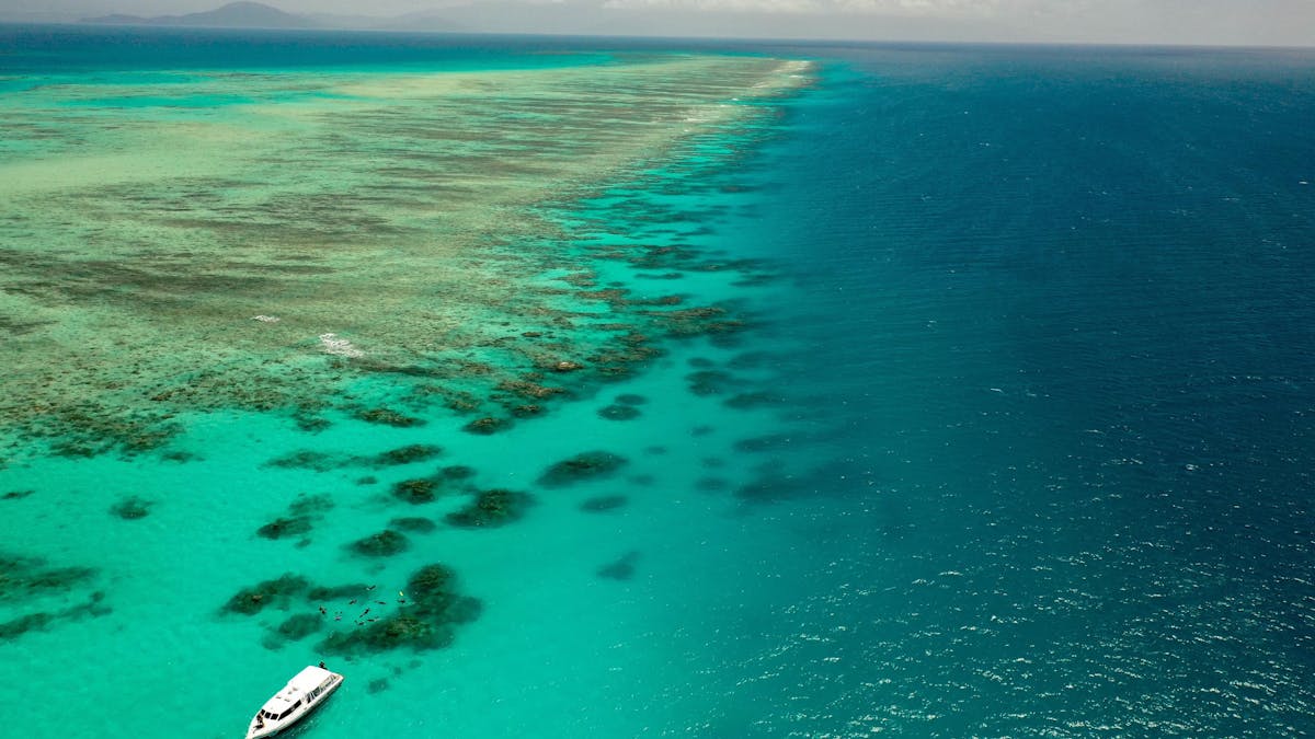Pristine outer reef locations