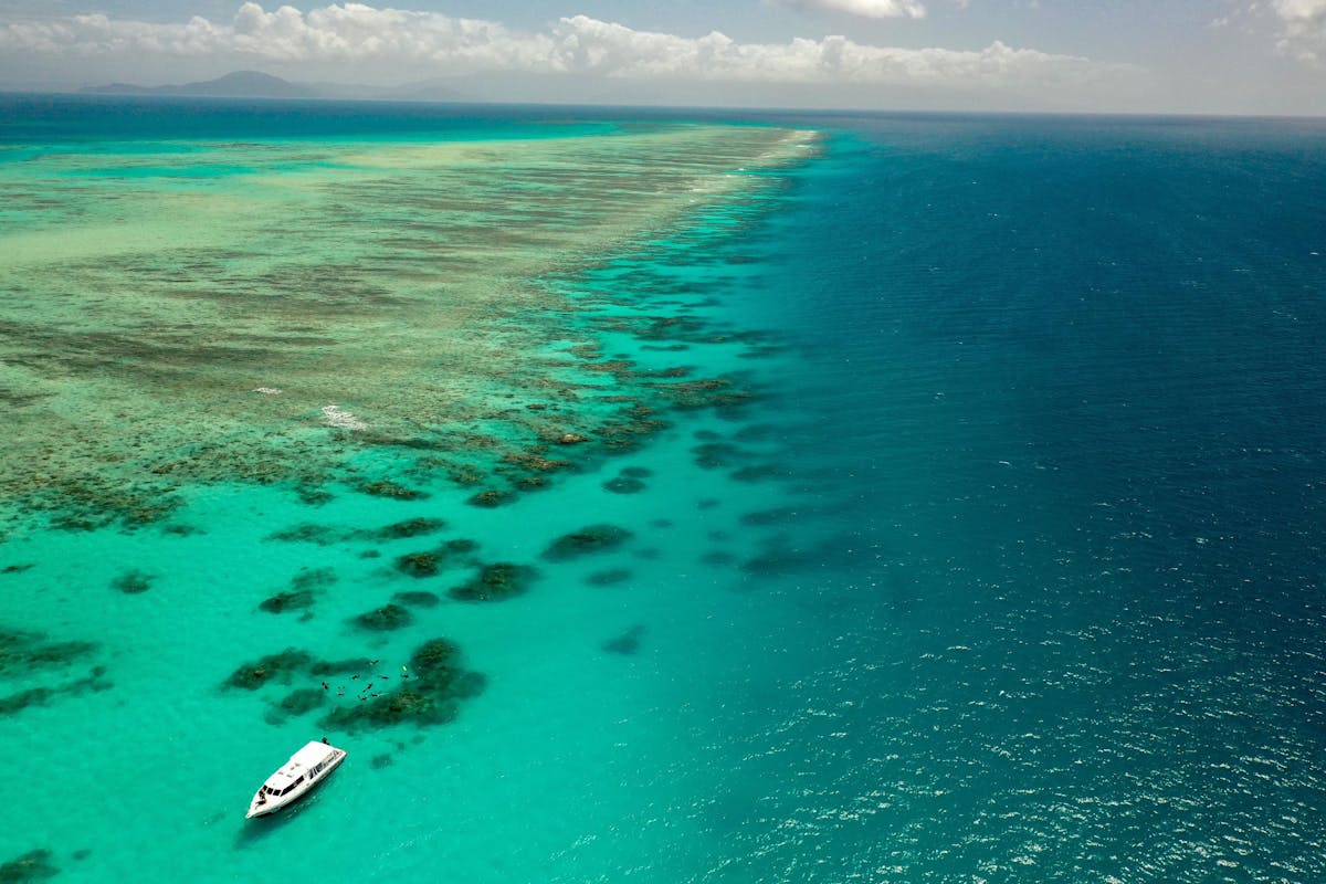 Pristine outer reef locations