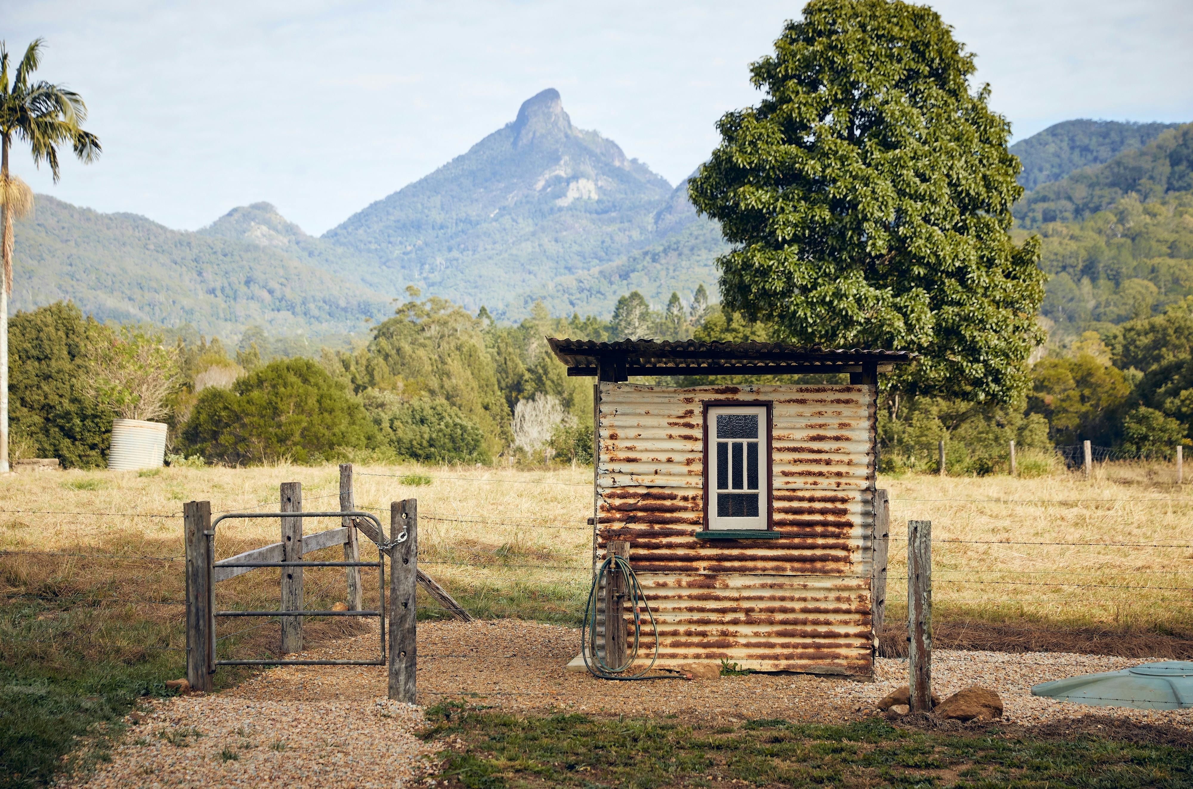Alternative Bush Loo if you are game ( contains a modern flushing toilet )