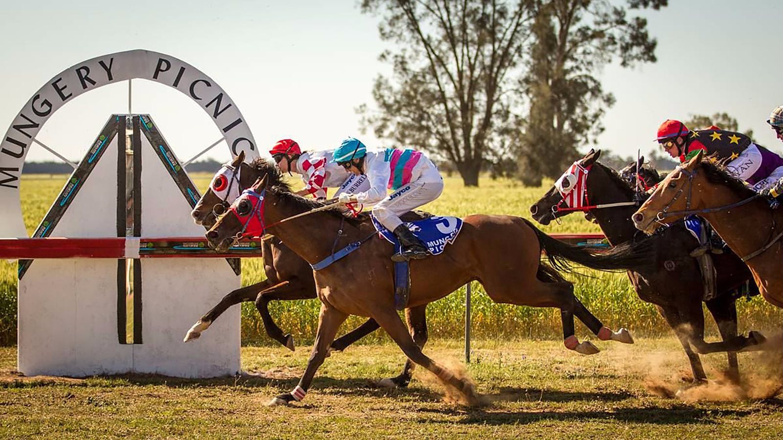 Image for Mungery Picnic Races