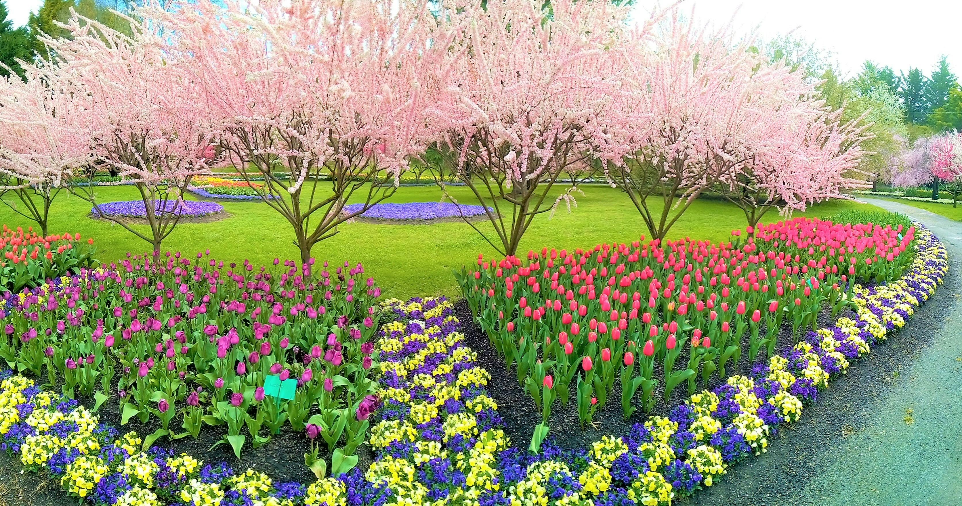 Image for Private: Tulip Top Gardens