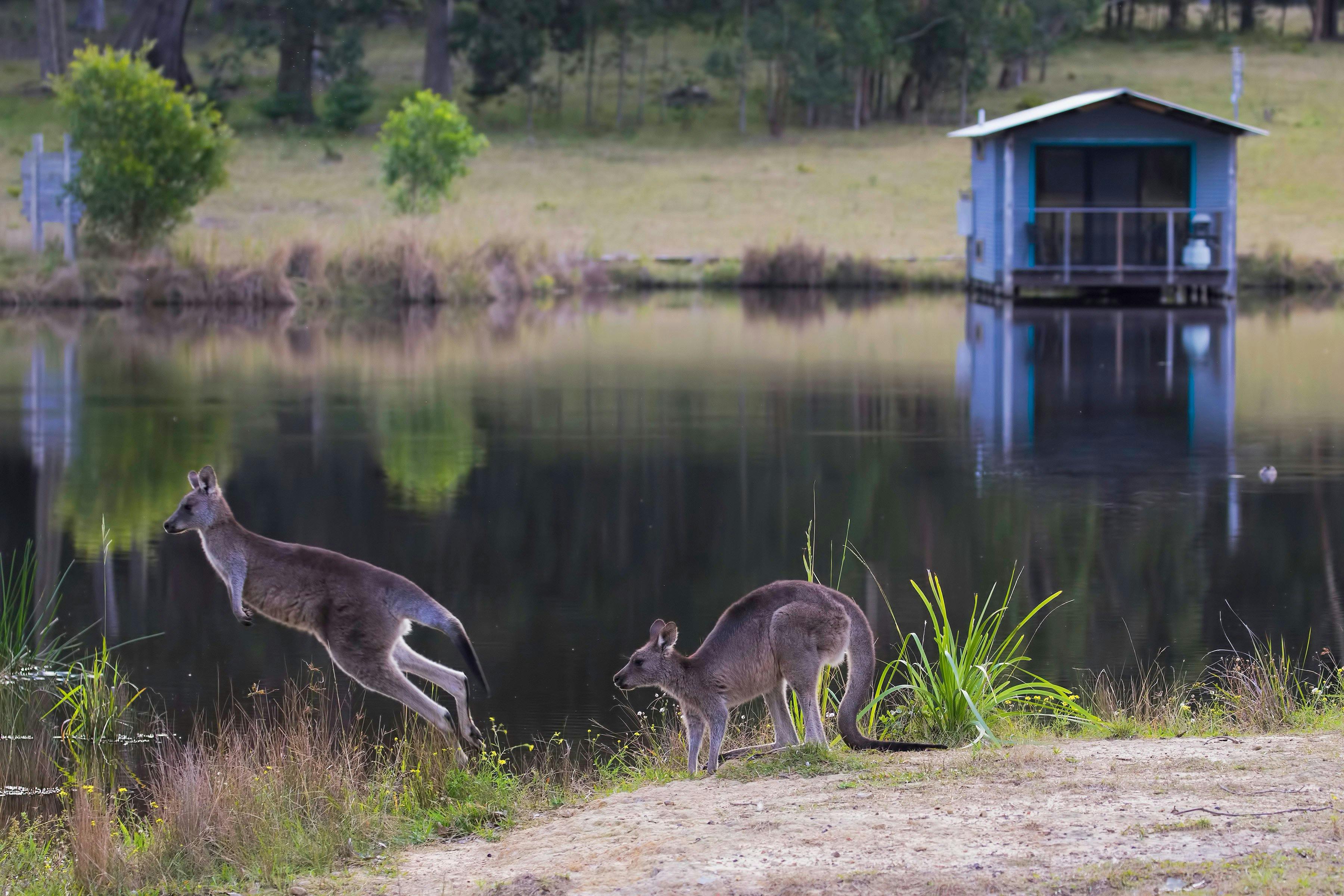 Worrowing Boat Shed Studio - Jervis Bay