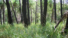 Kungardun Walk