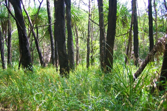 クンガルドゥンウォーク