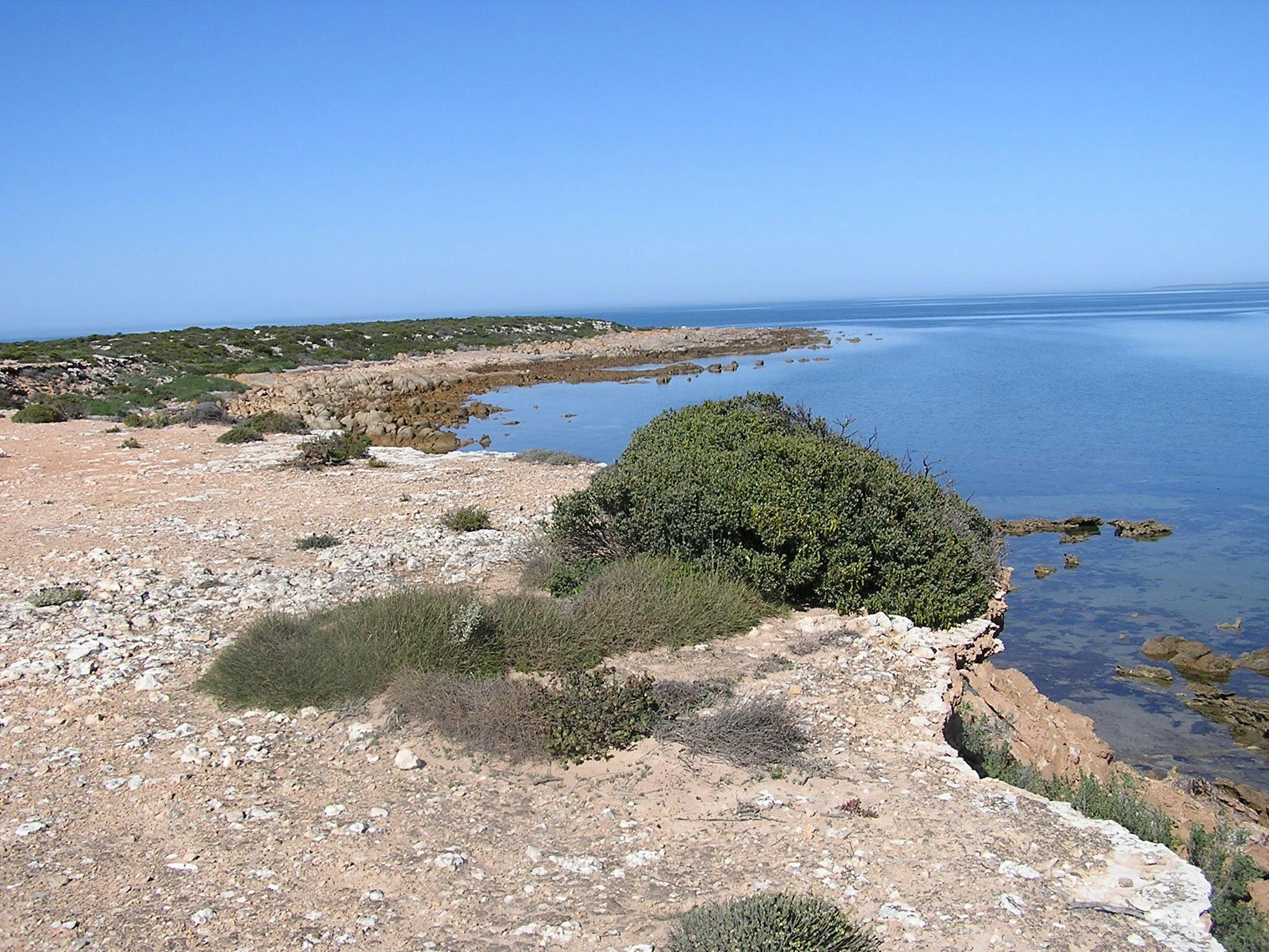 Wittelbee Conservation Park