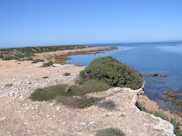 Wittelbee Conservation Park