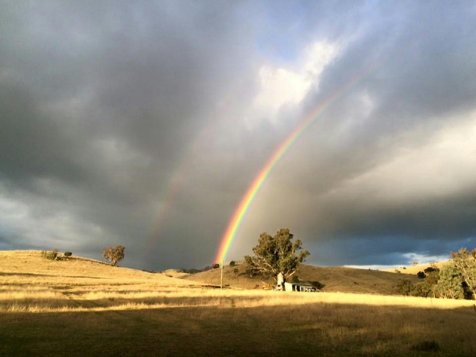 Reiten in Regenbogen