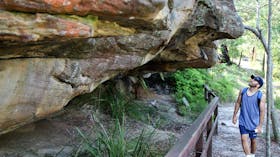 Red Hands Cave Walking Track - Ku-ring-gai Chase National Park