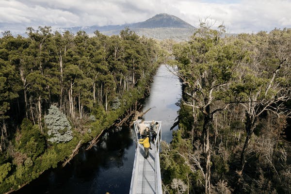 Tahune Adventures Tasmania - Tahune Airwalk