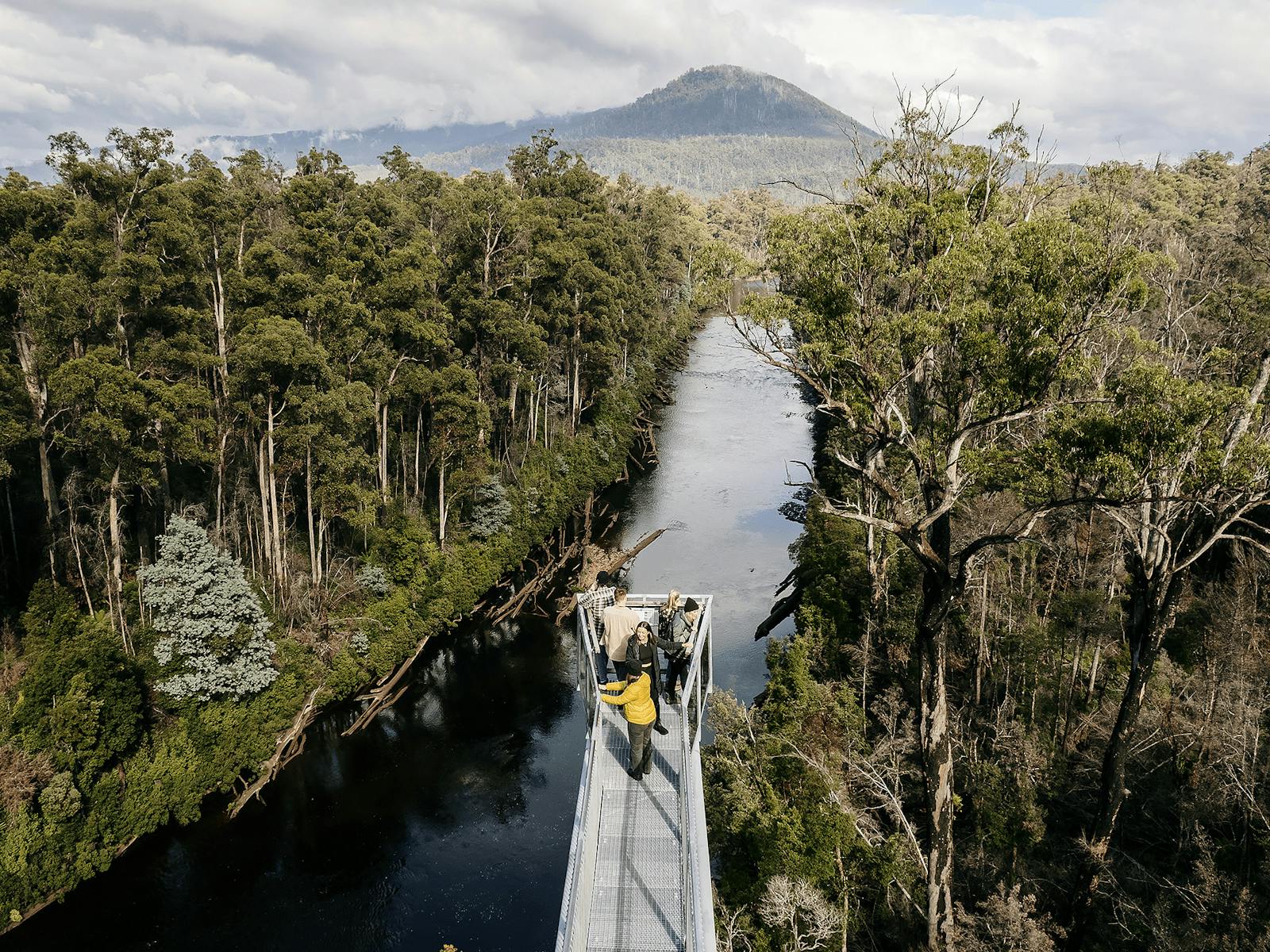 Airwalk cantilever 50 metres above the Huon river looking over the forest landscape
