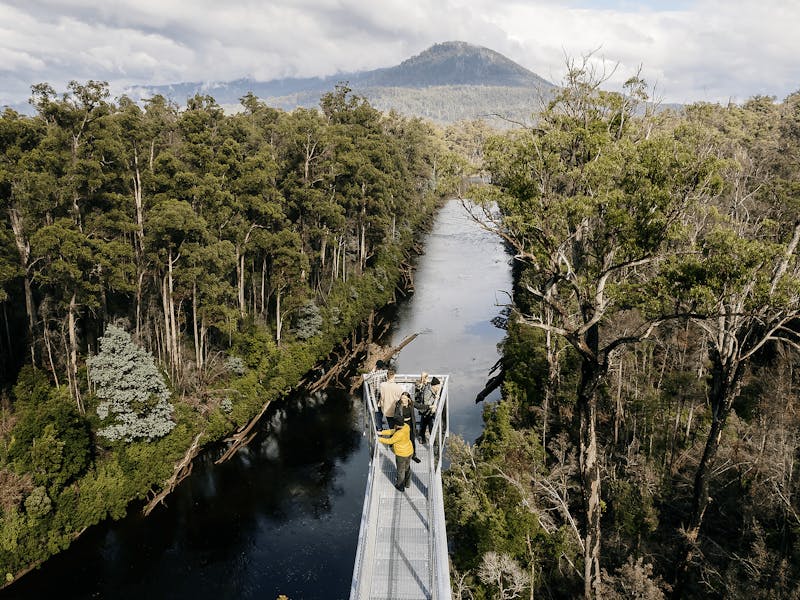 Airwalk cantilever 50 metres above the Huon river looking over the forest landscape