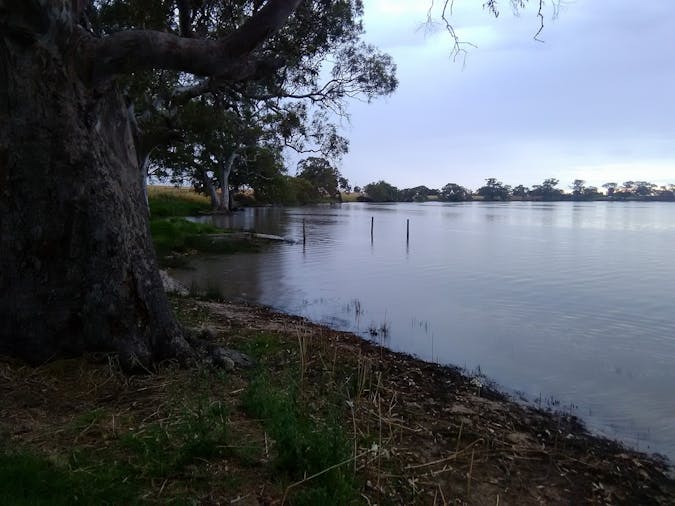 Cockatoo Lake Recreation Reserve