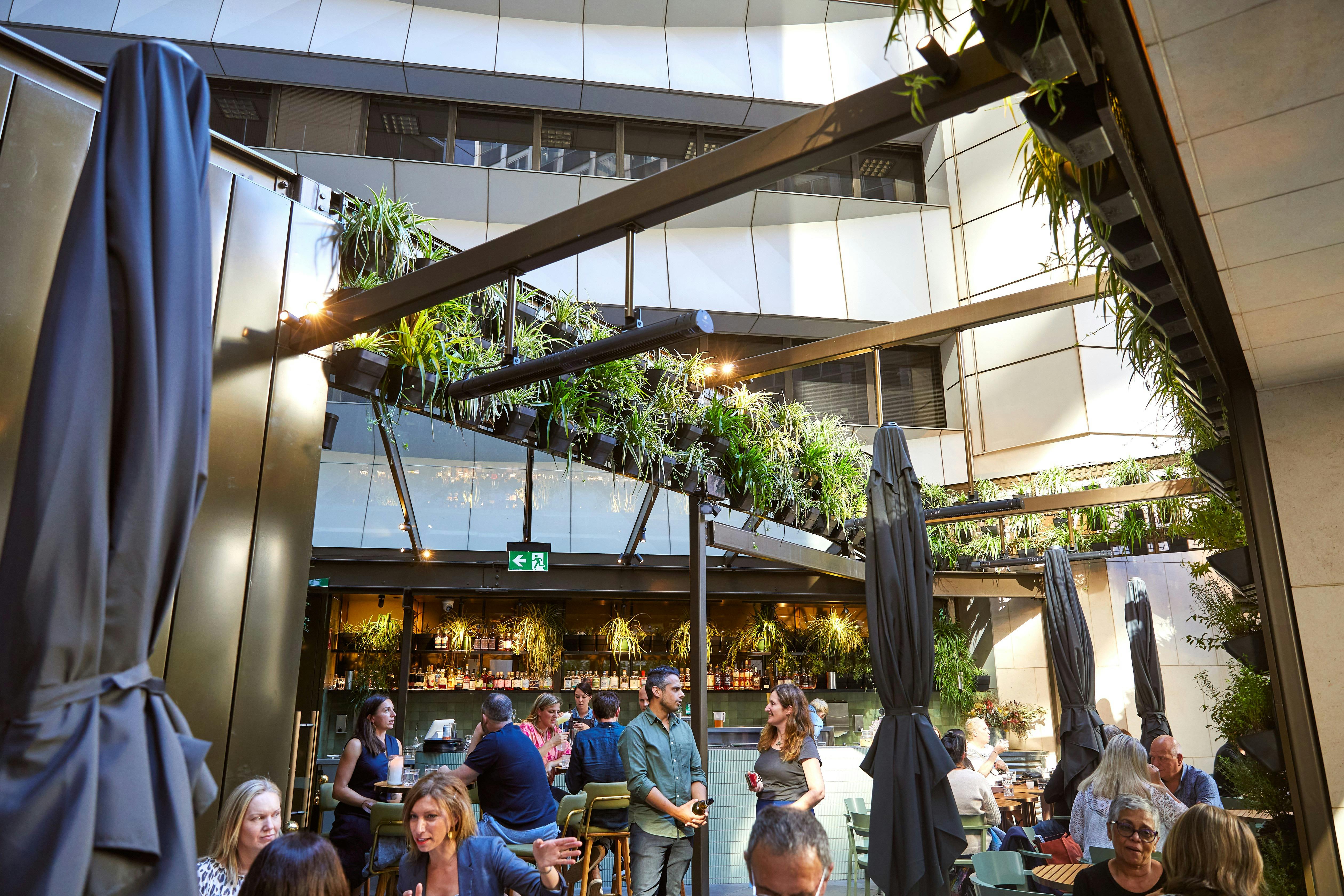 Rooftop at Farmer's Daughters