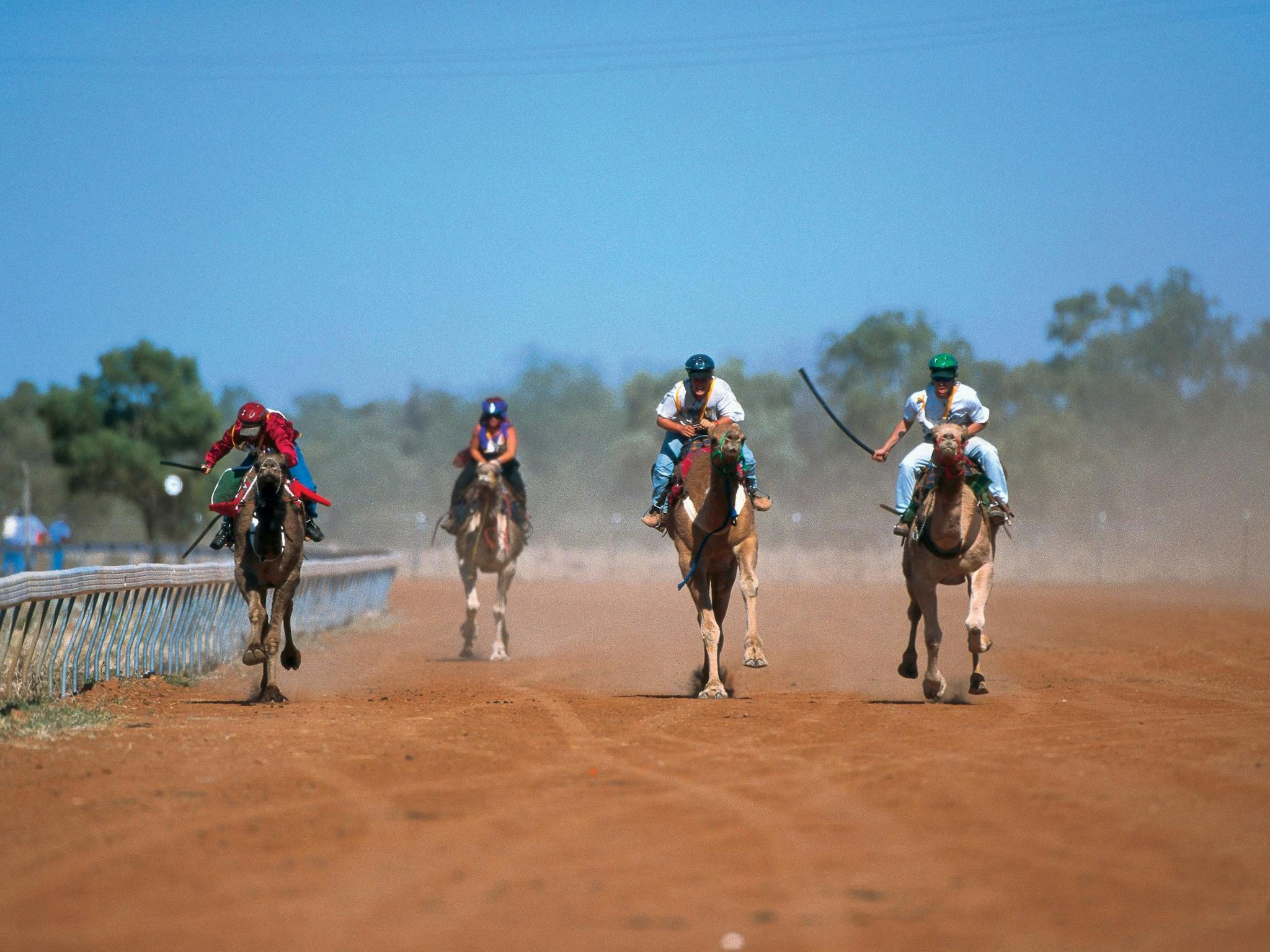Outback Camel Trail Outback Camel Trail