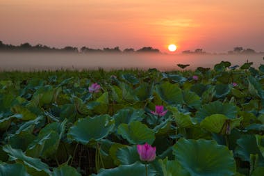 Corroboree Billabong Wetland Cruises - 2 hour sunrise cruise - Self drive option
