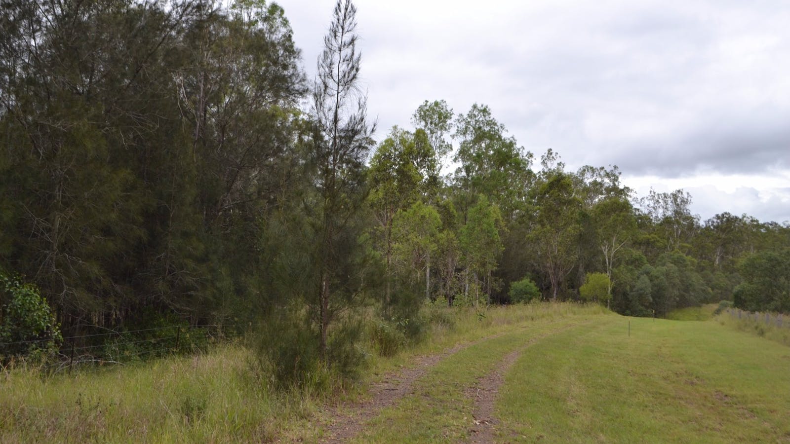 Brisbane Valley Rail Trail: Ipswich to Fernvale