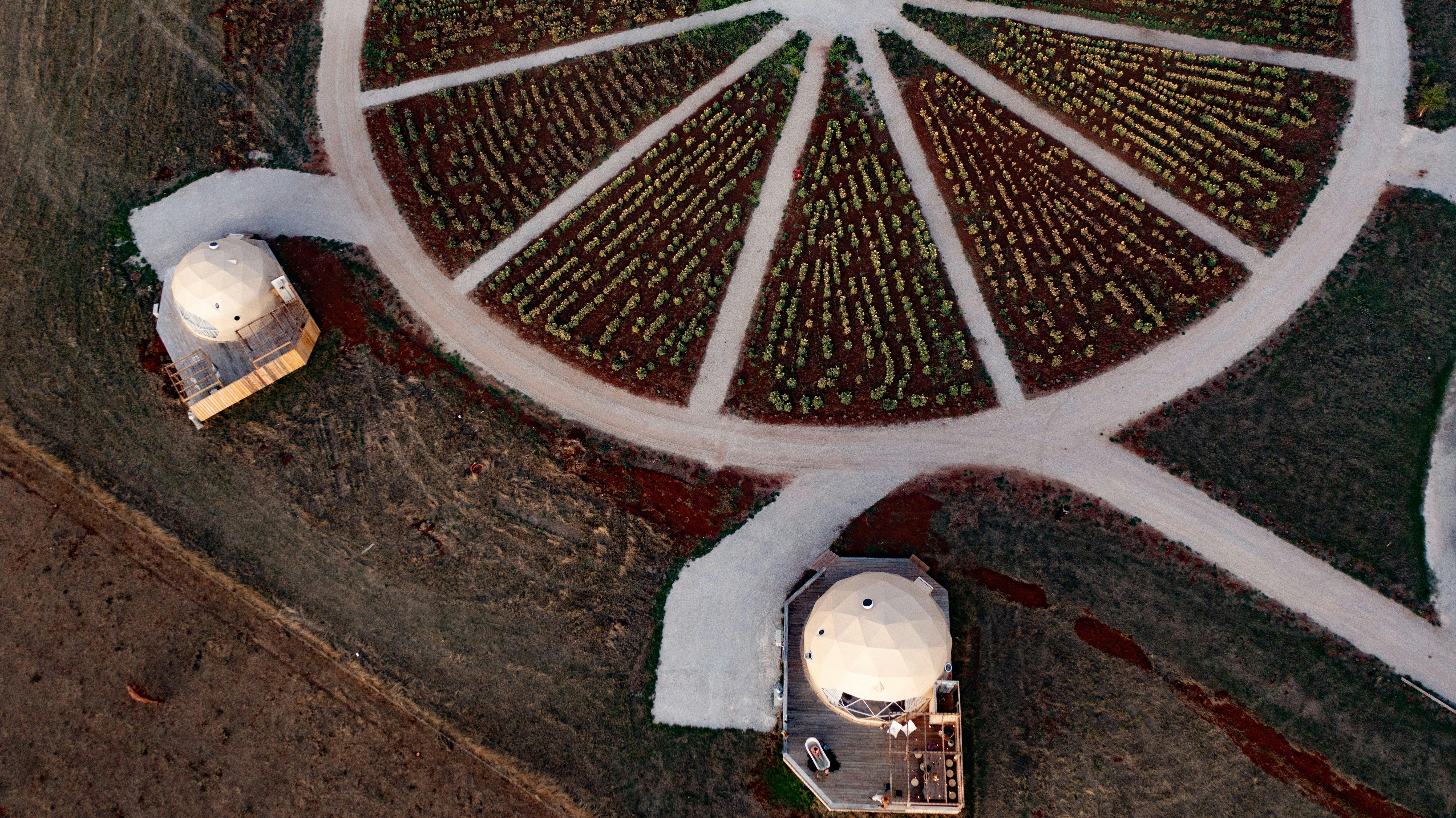 Mount Gnomon Farm