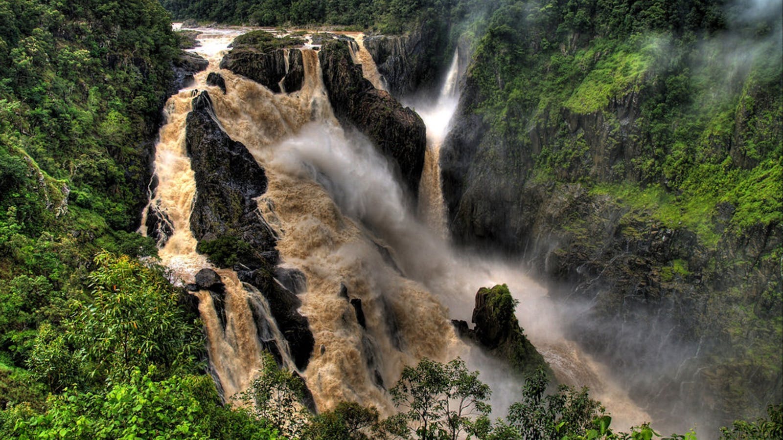Brett's Kuranda  Day Tours