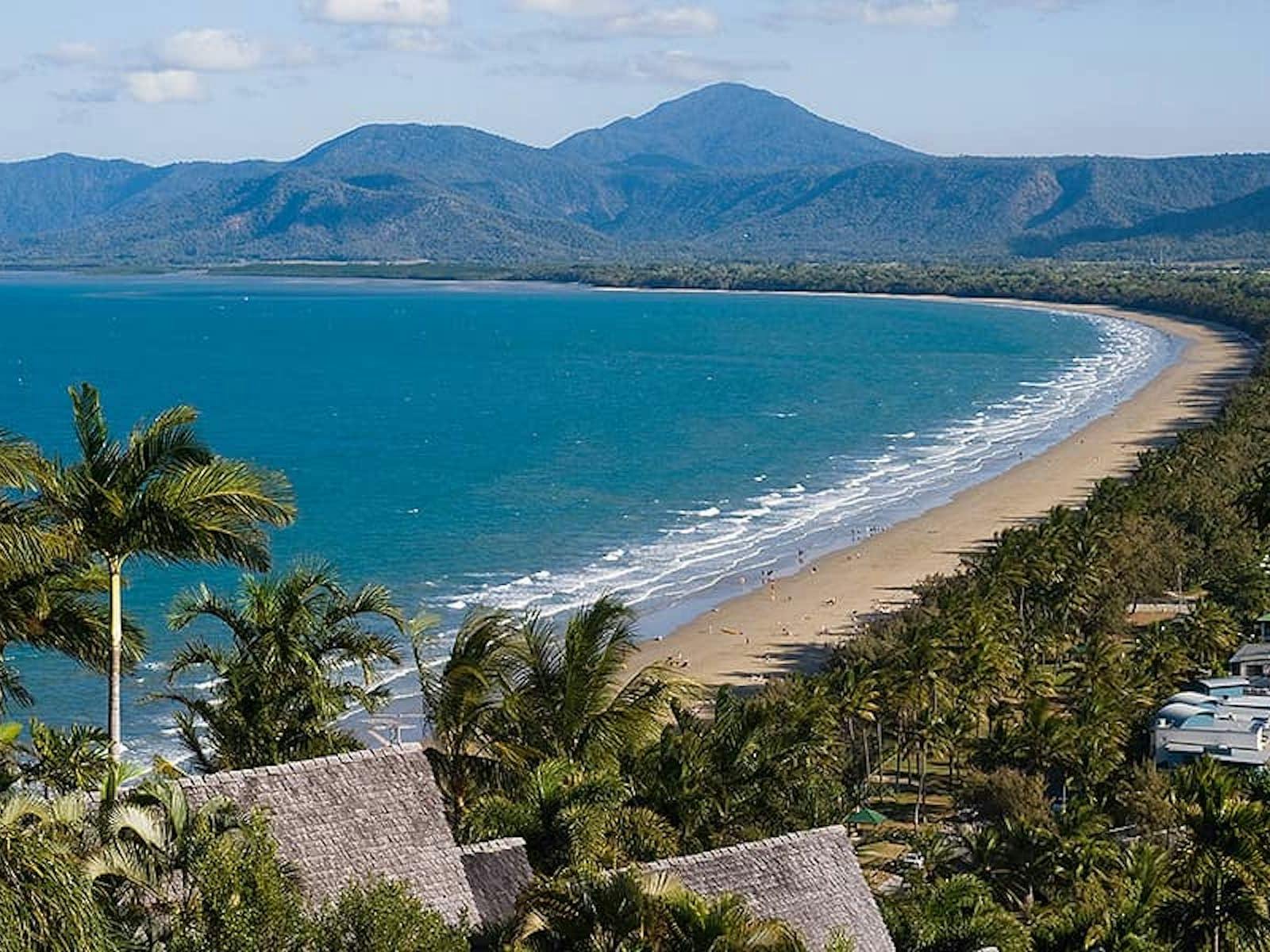 Cape Tribulation, Daintree & Mossman Gorge - Premium Rainforest Tour