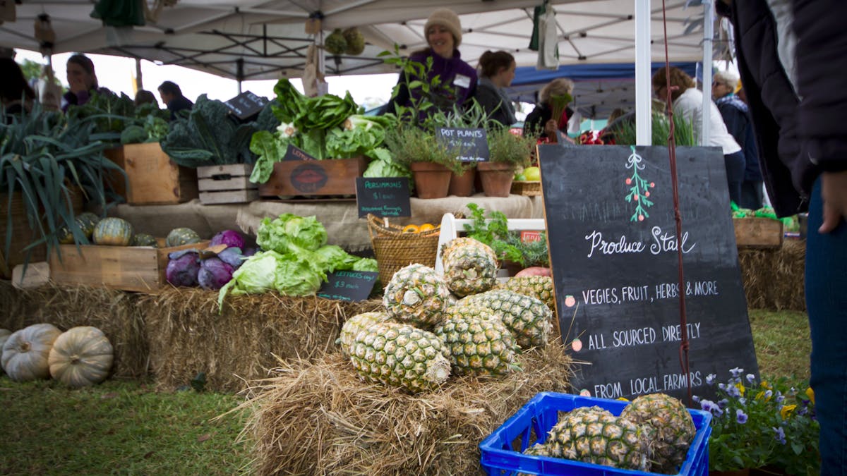 Produce, Hampton Festival