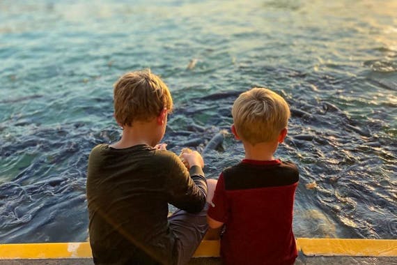 Aquascene 魚類飼養保護區和咖啡館