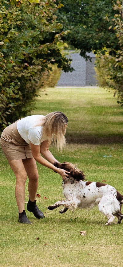 Truffle Dog