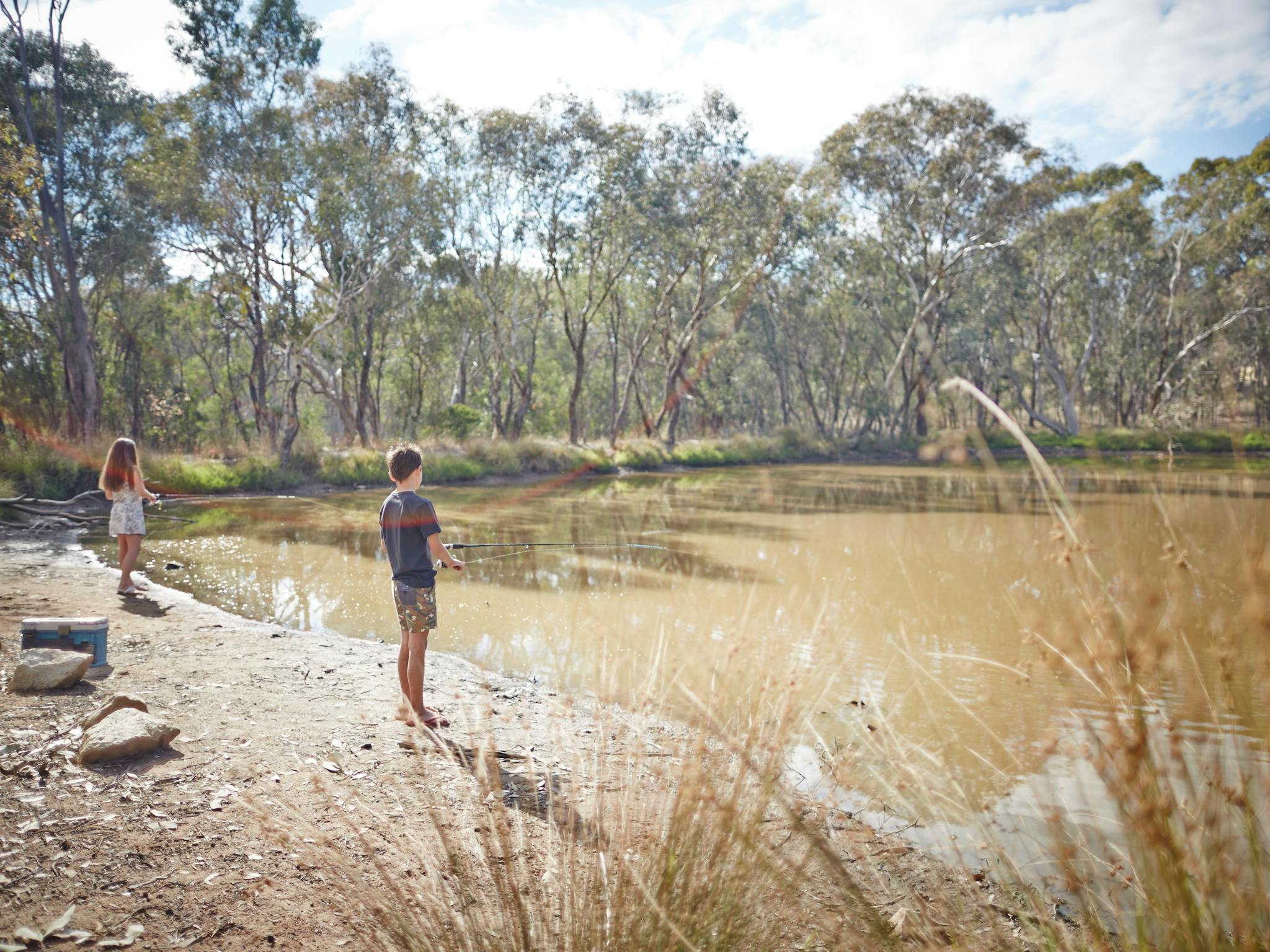 brown grass, lake, bank, two children fishing, in background gum trees,