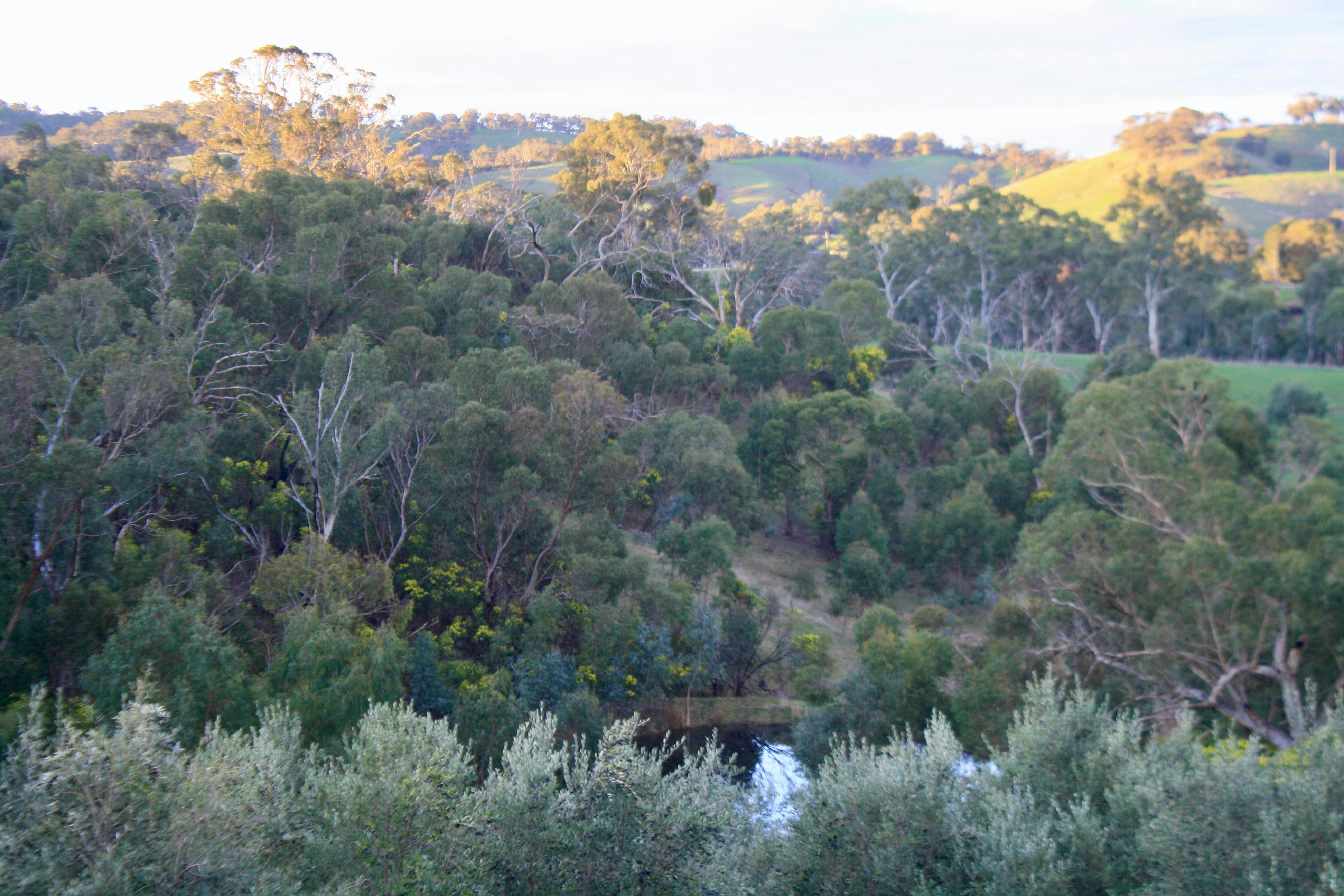 Millbrook Valley Farm - Barossa and Hills Hideaway