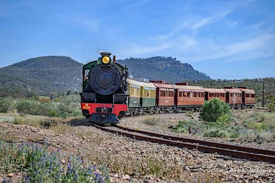 Pichi Richi Railway - Experiences - Quorn, Tour | South Australia