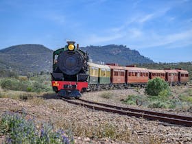 Explorer train with stunning Flinders Ranges Landscape - Pichi Richi Railway