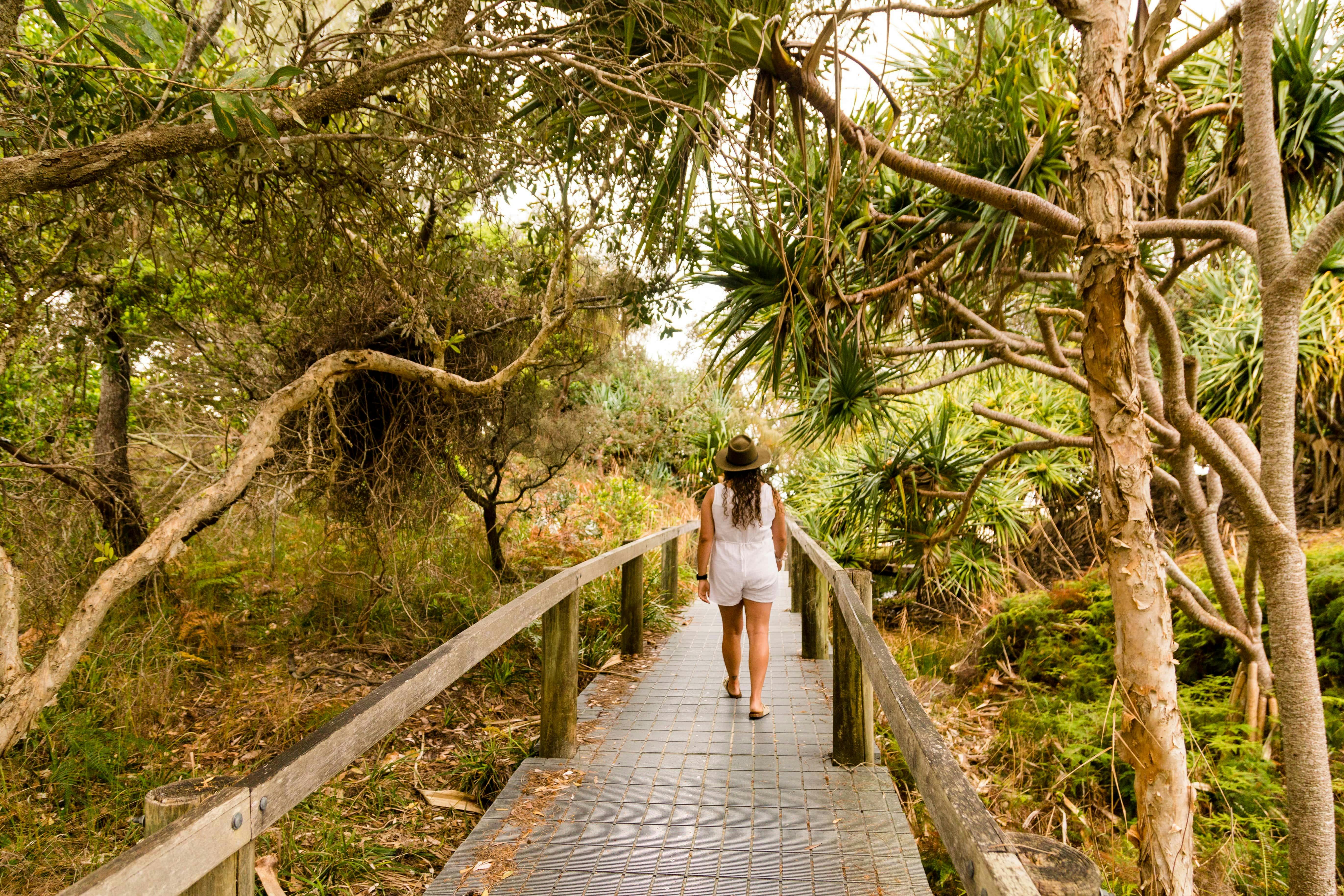 Lady walking down path in between coastal trees