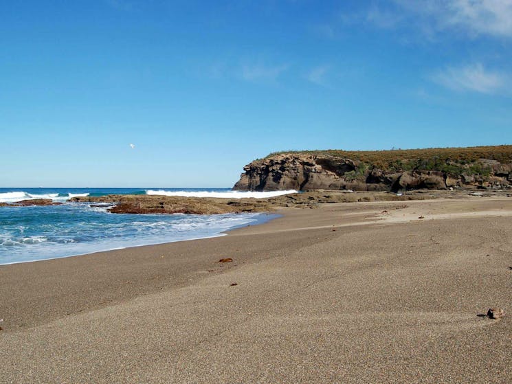 Coastal walk. Photo: NSW Government