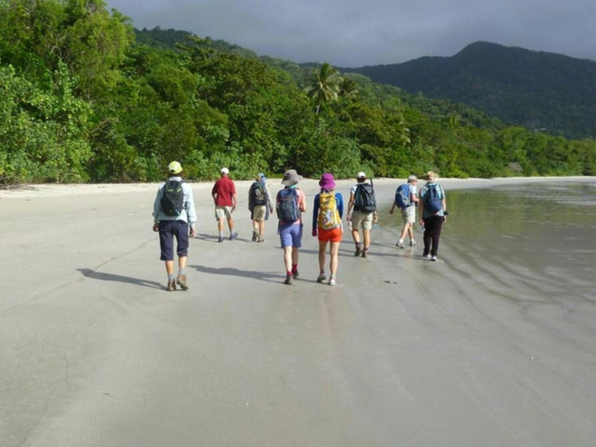 Kuku-Yalanji Bush Tucker Walk